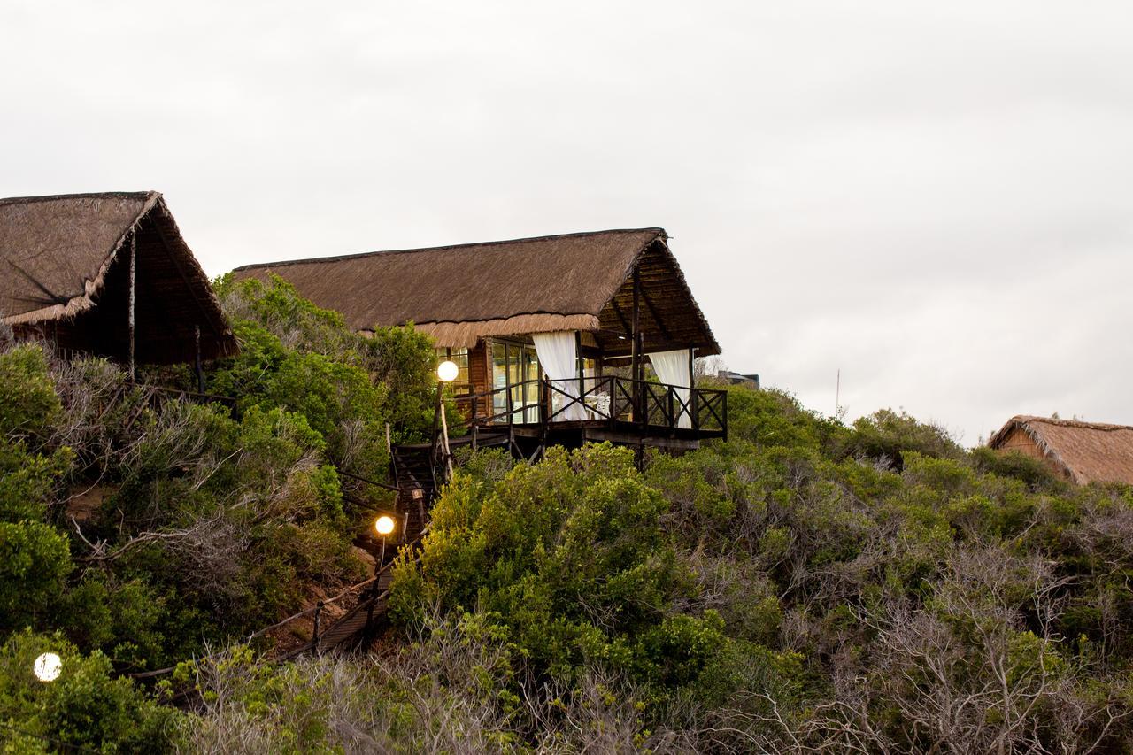 Paradise Dunes Tofo Luaran gambar